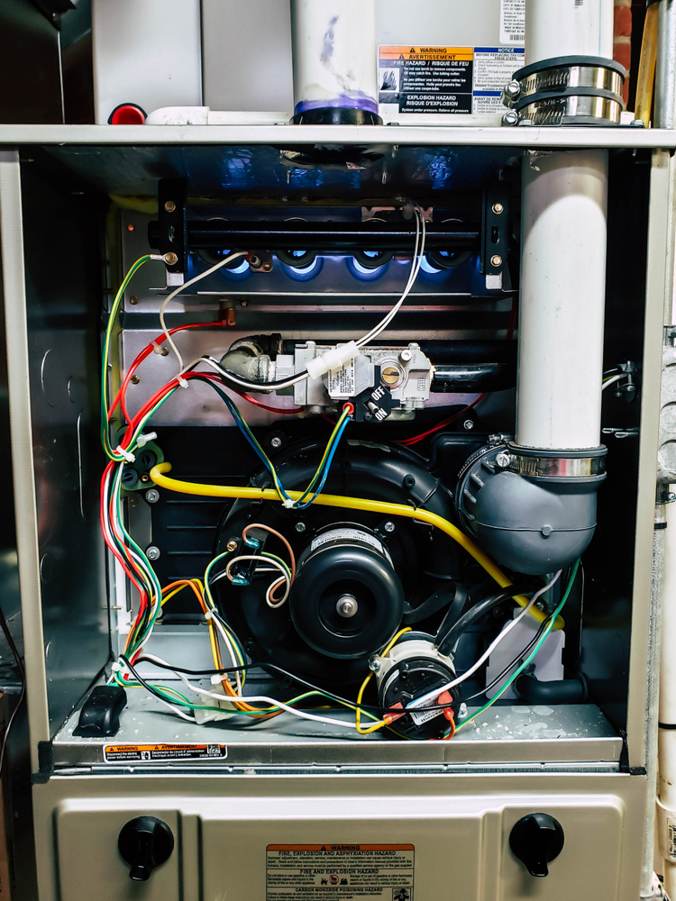 A comprehensive view of an inducer motor inside a furnace.